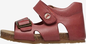 Falcotto Open shoes 'BEA' in Red: front