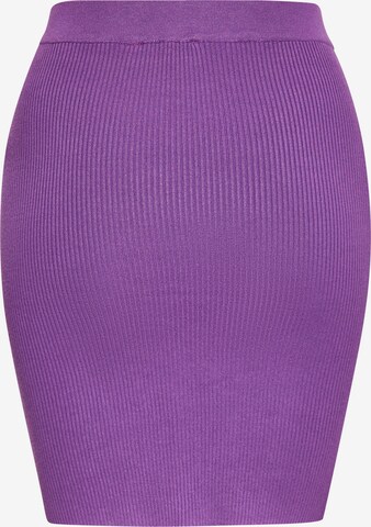 nascita Skirt in Purple: front