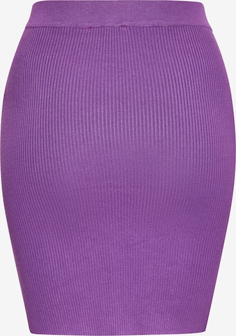 nascita Skirt in Purple: front