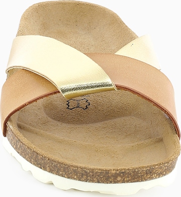 Mule 'Mildura' Bayton en or