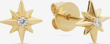 Guido Maria Kretschmer Jewellery Ohrringe in Gelb: Vorderseite