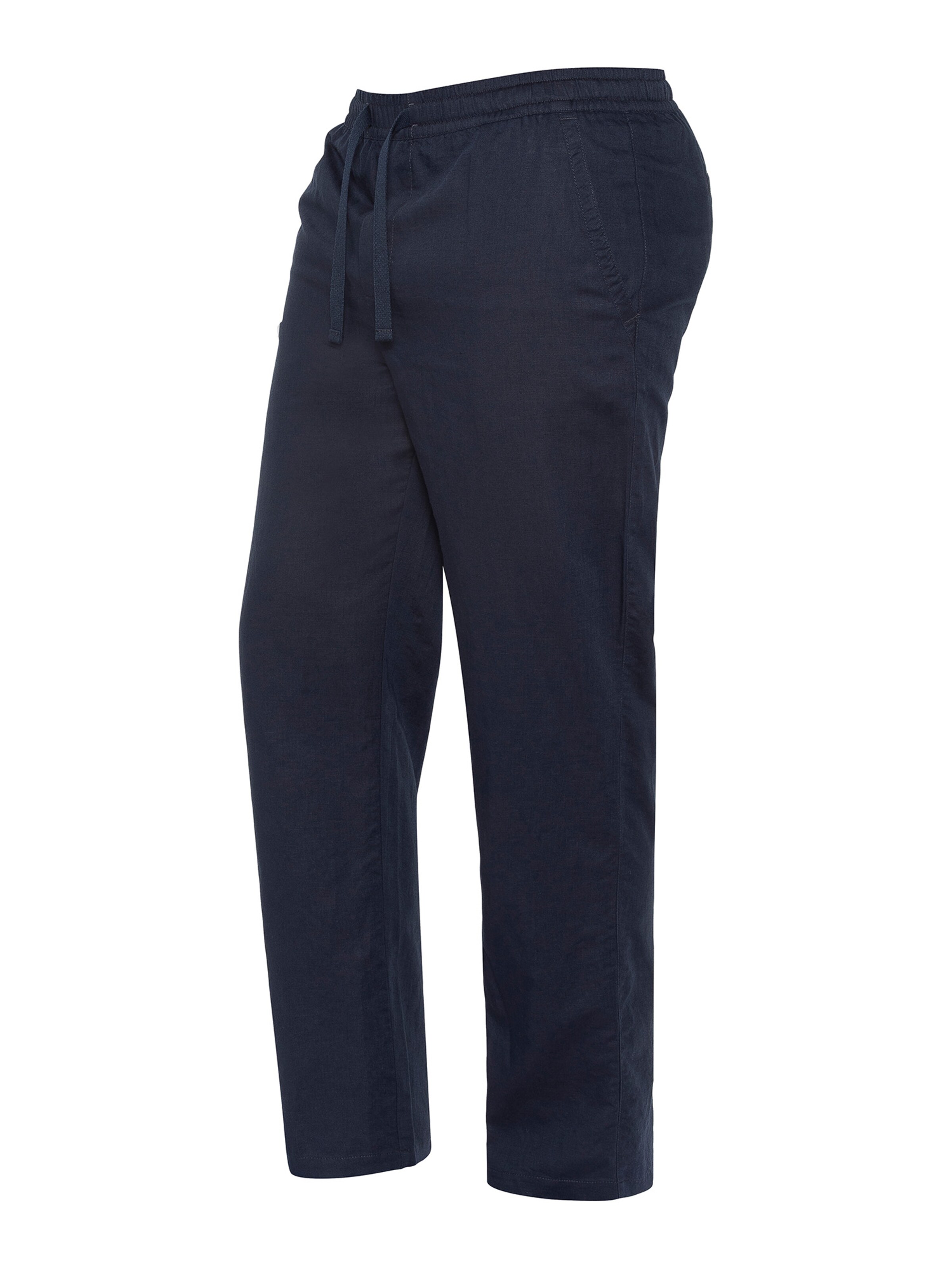 Schott NYC Regular Pants in Blue