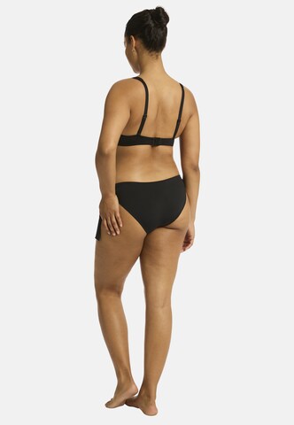SEA LEVEL Bikinihose 'Tie Side Essentials' in Schwarz