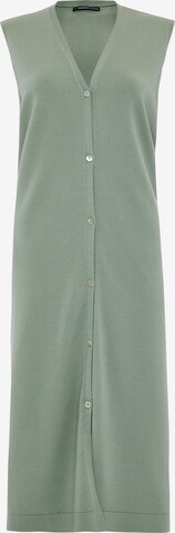 Threadbare Knitted dress 'Melman' in Green: front