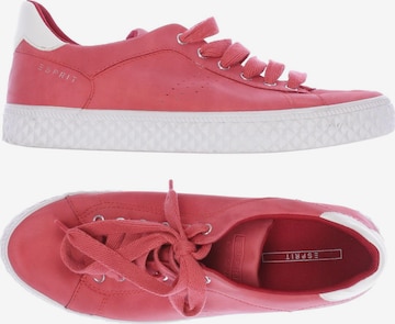 ESPRIT Sneakers & Trainers in 40 in Red: front