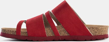 Bayton Mules 'Leiria' in Red