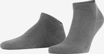 FALKE Socken 'ClimaWool' in Grau: Vorderseite