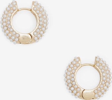 AllSaints Earrings in Gold: front