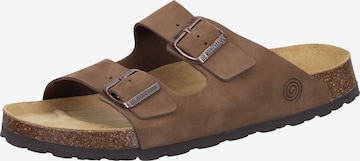 DR. BRINKMANN Mules in Brown: front