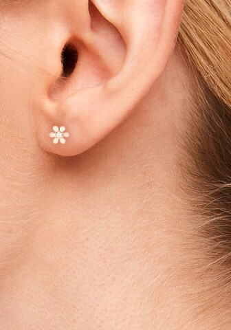 s.Oliver Earrings in Gold