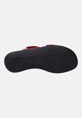 Westland Pantolette in Rot