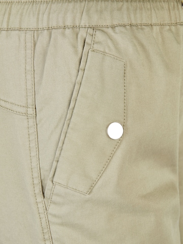 Regular Pantalon Navigazione en vert