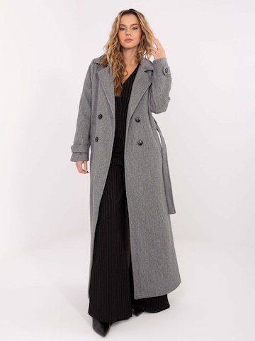 Manteau mi-saison Madnezz House en gris : devant