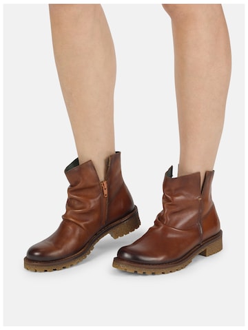 Bottines 'Caster E013' FELMINI en marron : devant