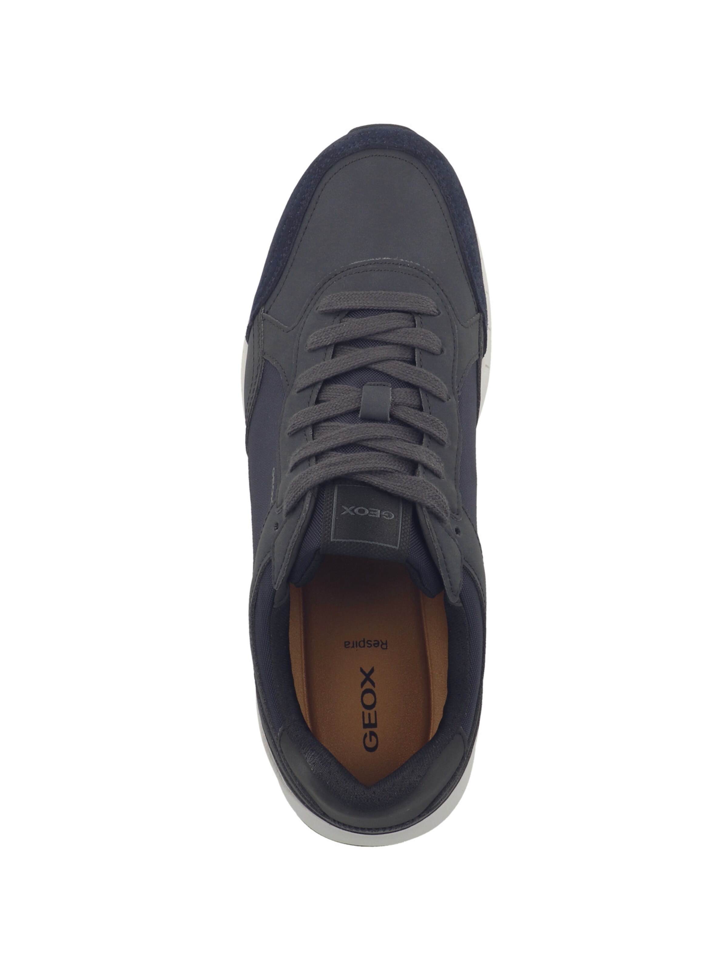 Baskets basses ' U Branthon B ' GEOX en noir