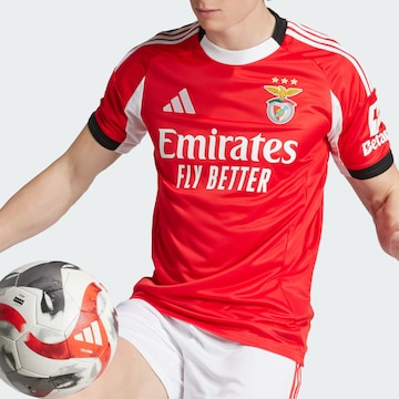 ADIDAS PERFORMANCE - Camiseta de fútbol 'Benfica 25/26' en rojo