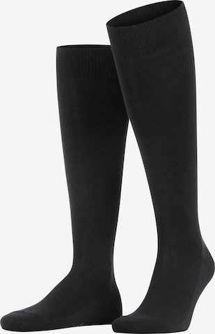 FALKE Knee High Socks 'Family' in Black: front
