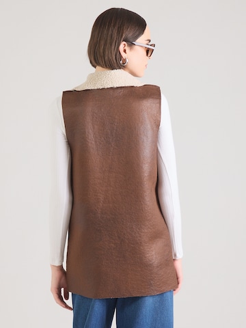 Hailys Vesta 'Am44elia' – hnědá