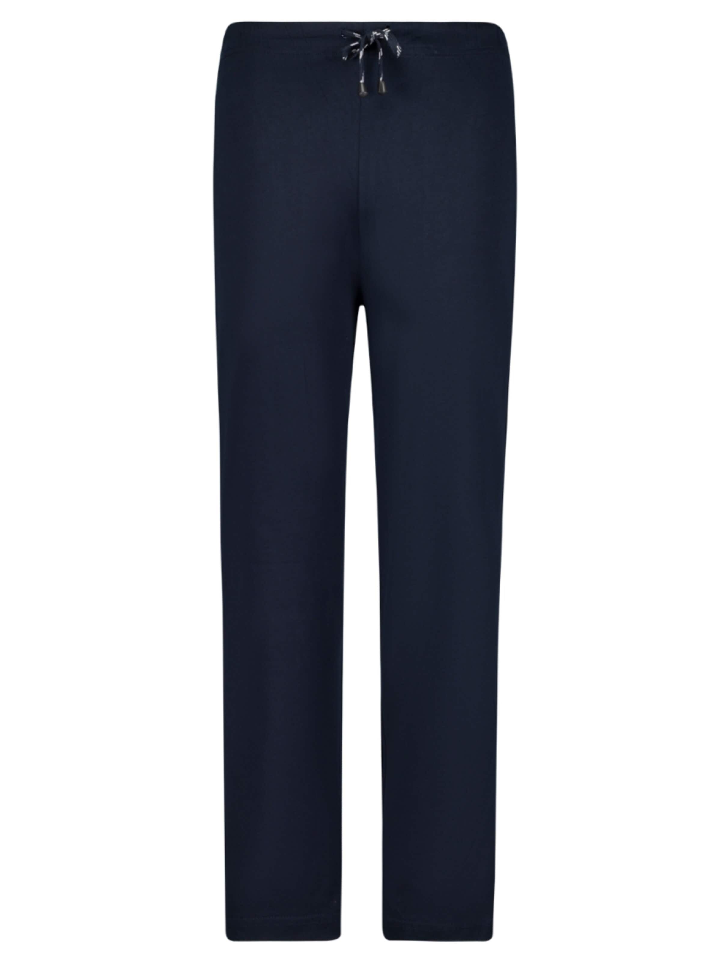 Adamo Regular Workout Pants 'Gerd' in Blue: front