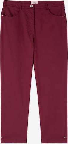 oltre Hose in Lila: Vorderseite