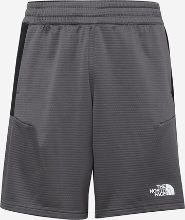 THE NORTH FACE - regular Pantalón de montaña en gris: frente