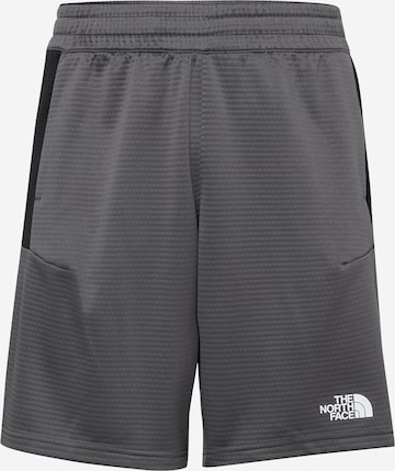 Regular Pantalon outdoor THE NORTH FACE en gris : devant