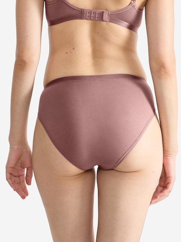 SLOGGI Slip 'GO Daily Cotton' in Brown