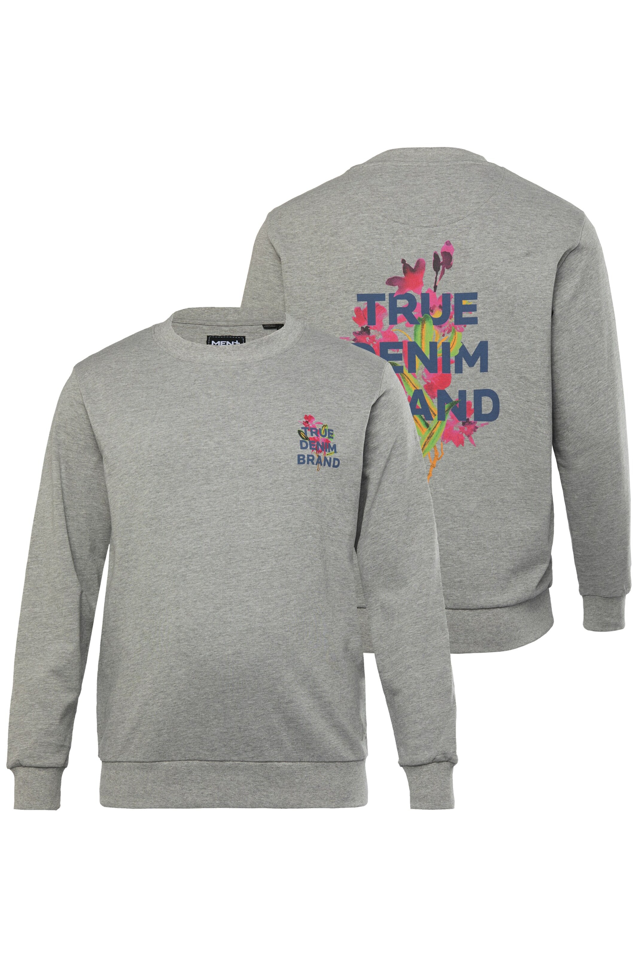 Men Plus Trui in Grijs