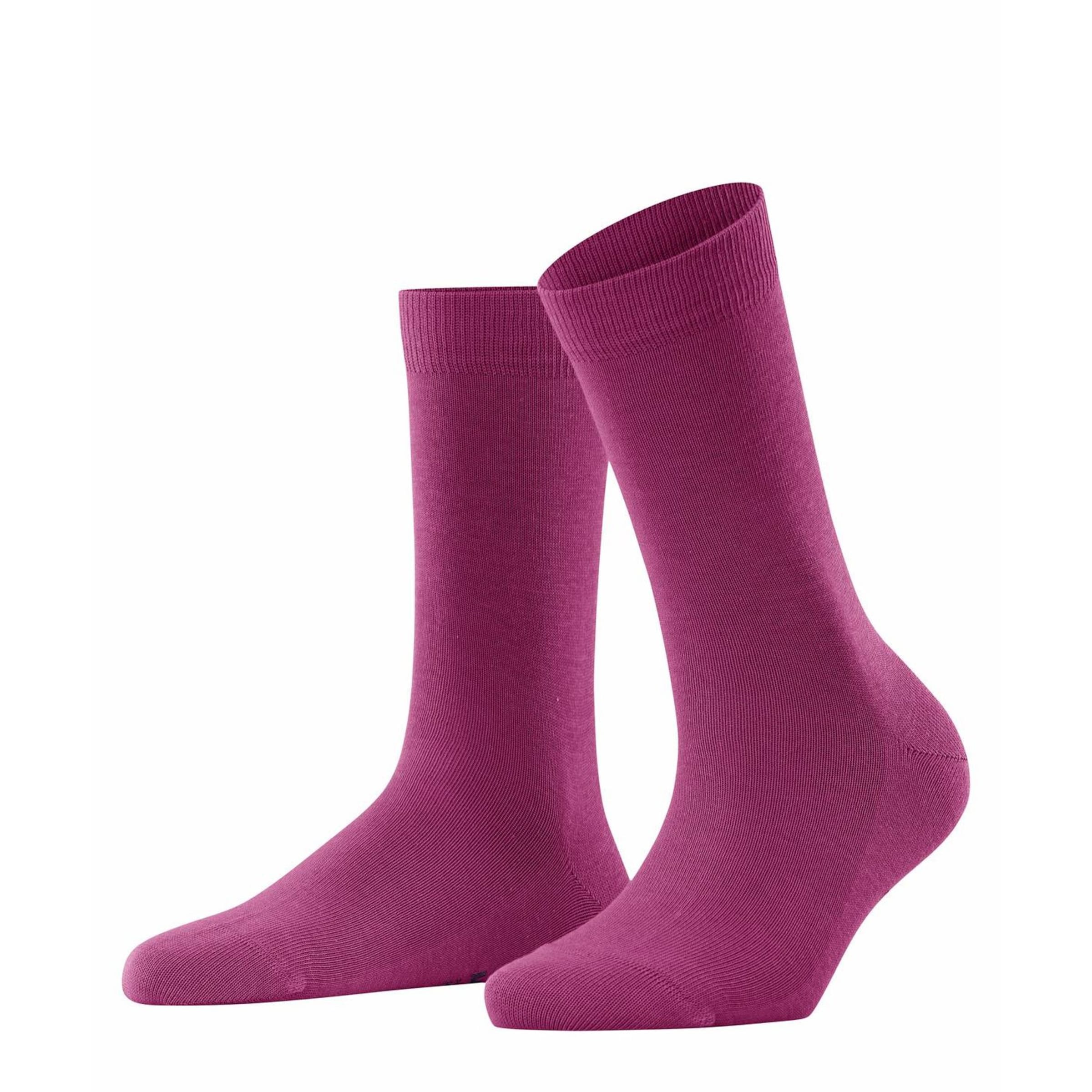 FALKE - Calcetines en lila: frente