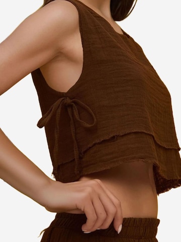 Costume Hiccup en marron
