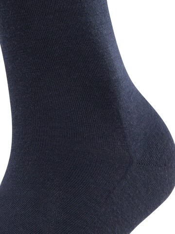 FALKE Kniestrümpfe 'Softmerino'‌ in Blau