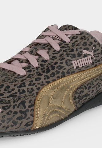 PUMA Sneakers 'Speedcat' in Brown