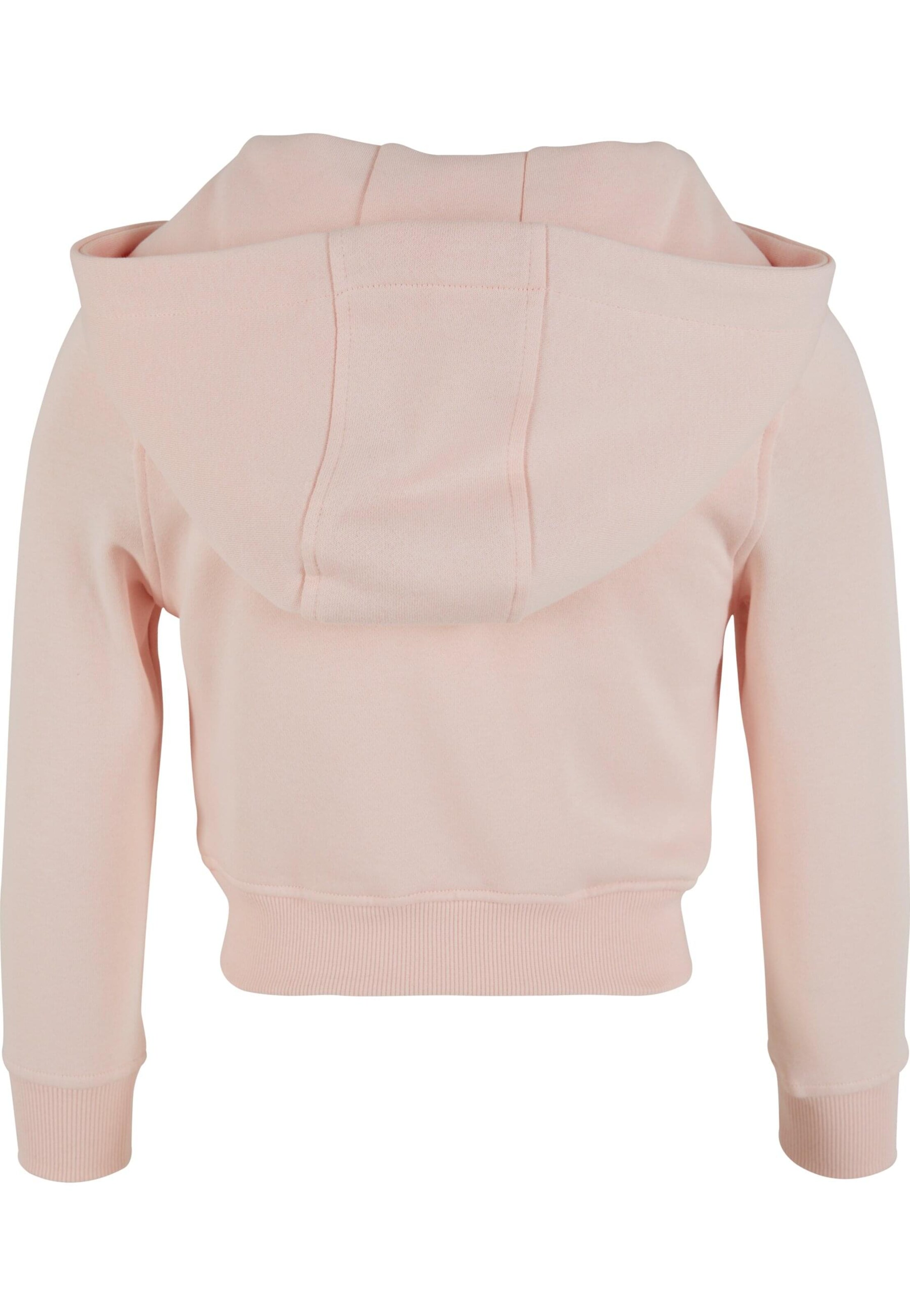 Regular fit Felpa di Mister Tee in rosa