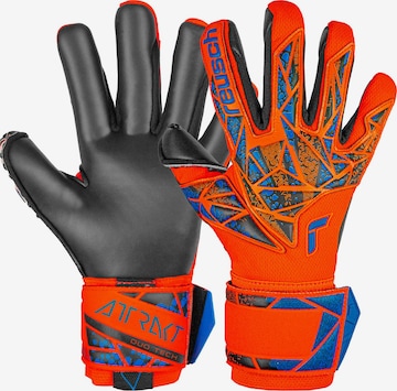 REUSCH Sporthandschoenen 'Attrakt Duo' in Blauw: voorkant