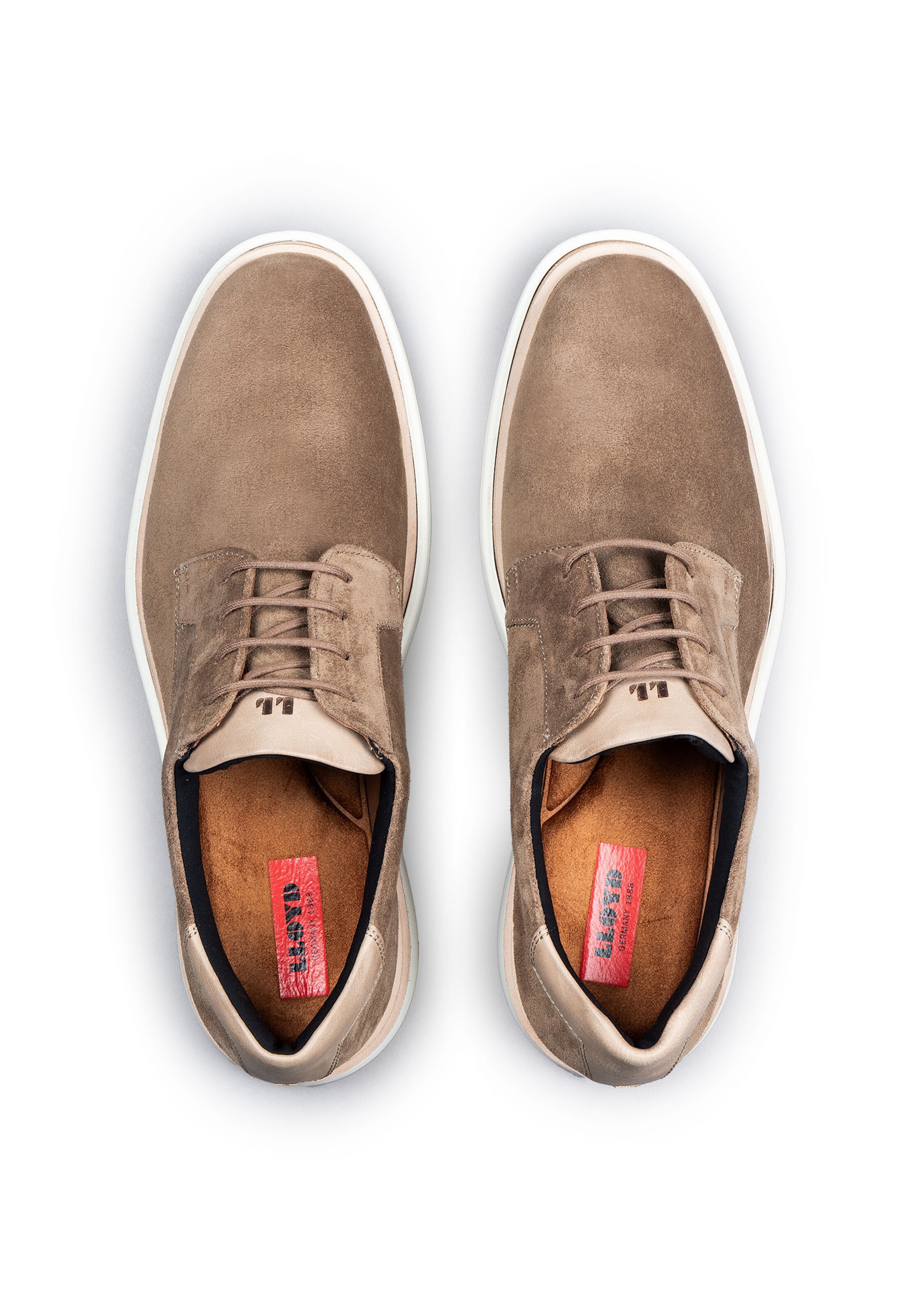 LLOYD Schnürschuh 'GOODMAN' in Braun