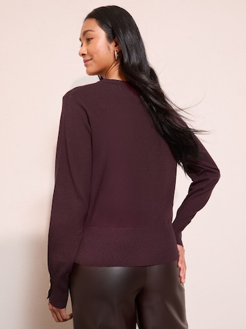 Friends Like These Pullover in Rot