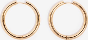 Hey Harper Earrings 'Ruby' in Gold: front
