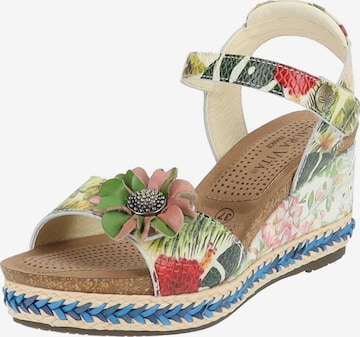 Laura Vita Sandals in Mixed colors: front