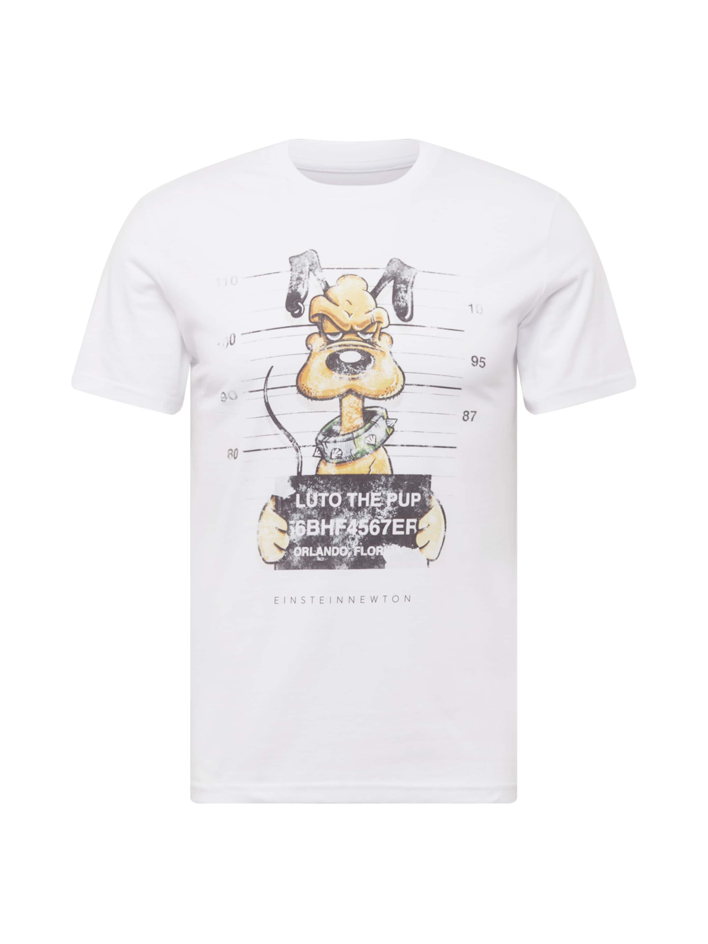 T-Shirt EINSTEIN & NEWTON en blanc : devant