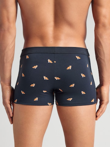 IUMAN Boxershorts in Blau