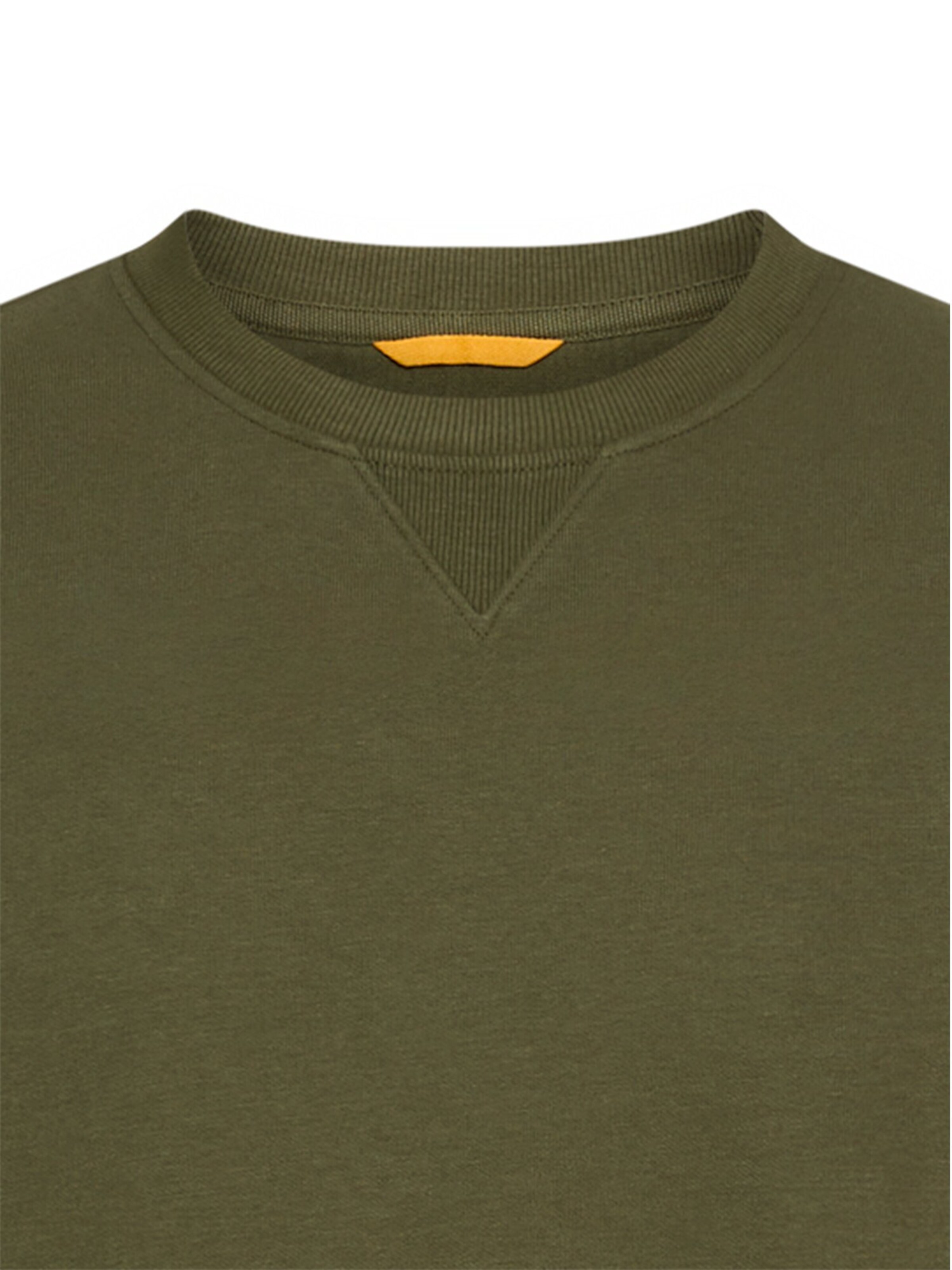 CAMEL ACTIVE Sweatshirt in Green