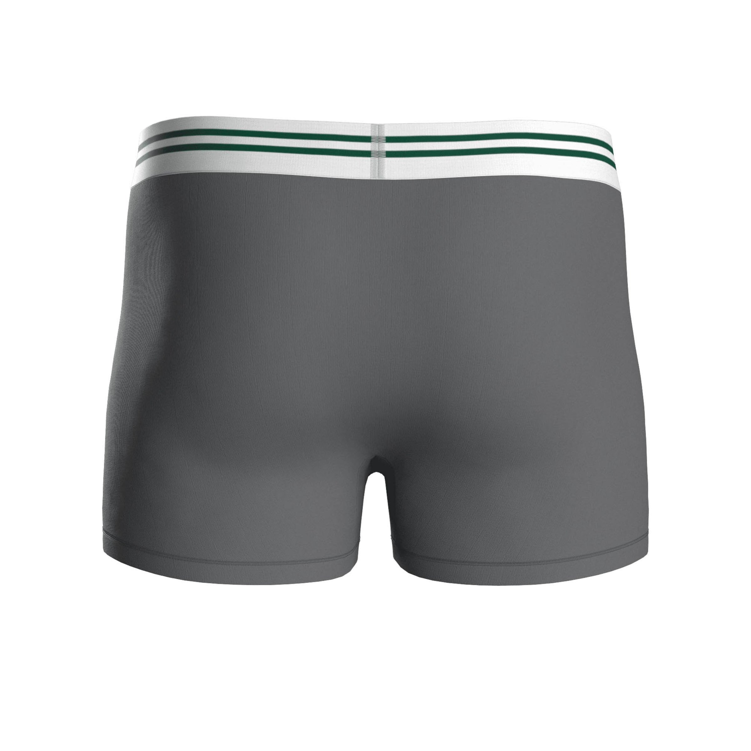 NFL Boxer shorts in Grey