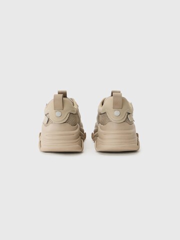 STEVE MADDEN Nizke superge 'POSSESSION-E' | rjava barva