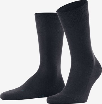 FALKE Socken in Blau: predná strana