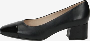 CAPRICE Pumps in Zwart