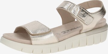 CAPRICE Sandalen met riem in Goud: voorkant