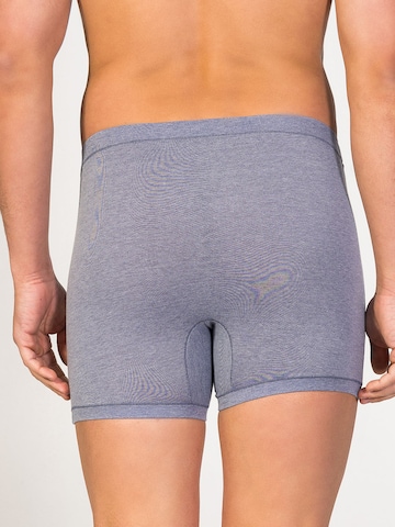 zd ZERO DEFECTS Boxer shorts 'Helios fly front boxer' in Blue