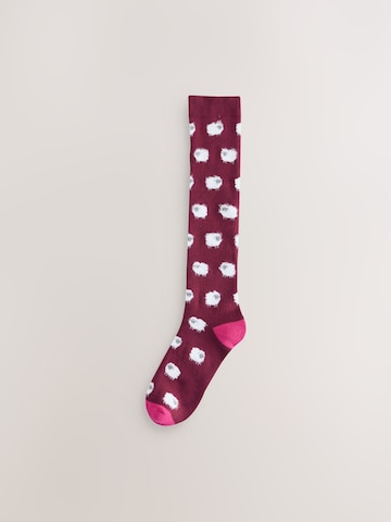 Next - Calcetines hasta la rodilla en lila