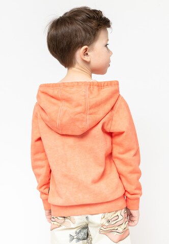 Gulliver Hoodie in Orange