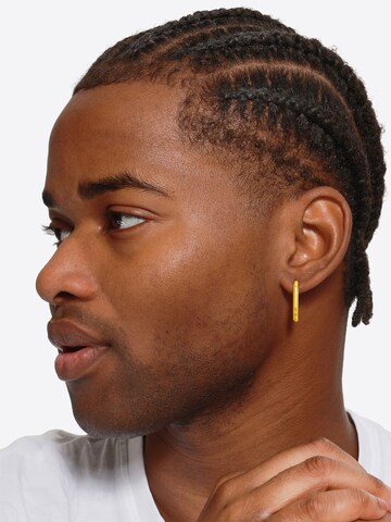 Boucles d'oreilles 'Aemil' Heideman en or : devant